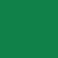 Solid Colored Tissue Paper (20"x30") HOLIDAY GREEN